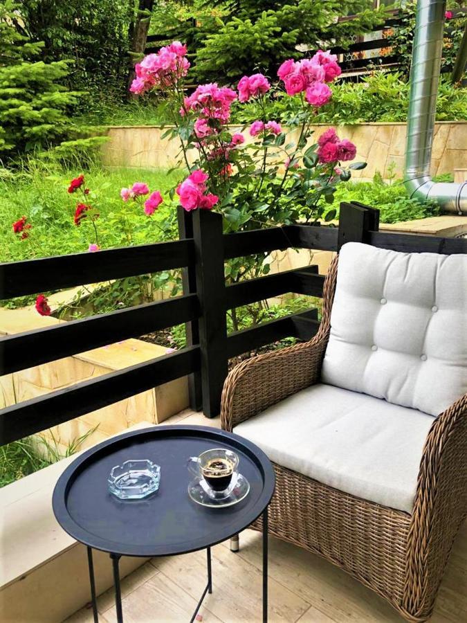 Casa Varful Cu Dor シナヤ エクステリア 写真