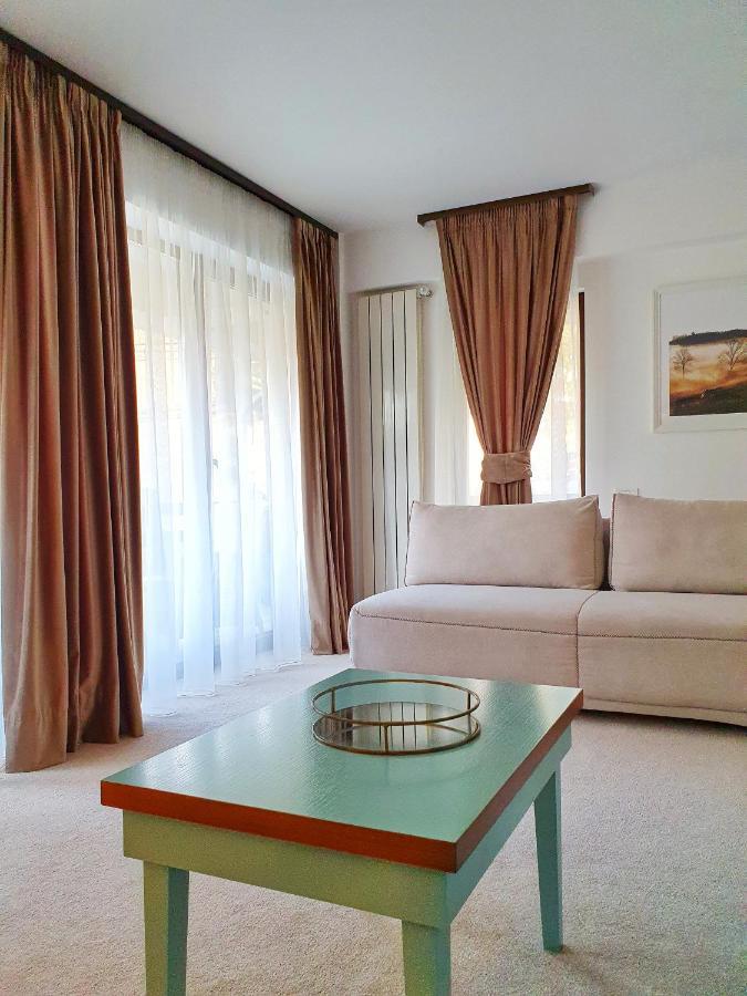 Casa Varful Cu Dor シナヤ エクステリア 写真