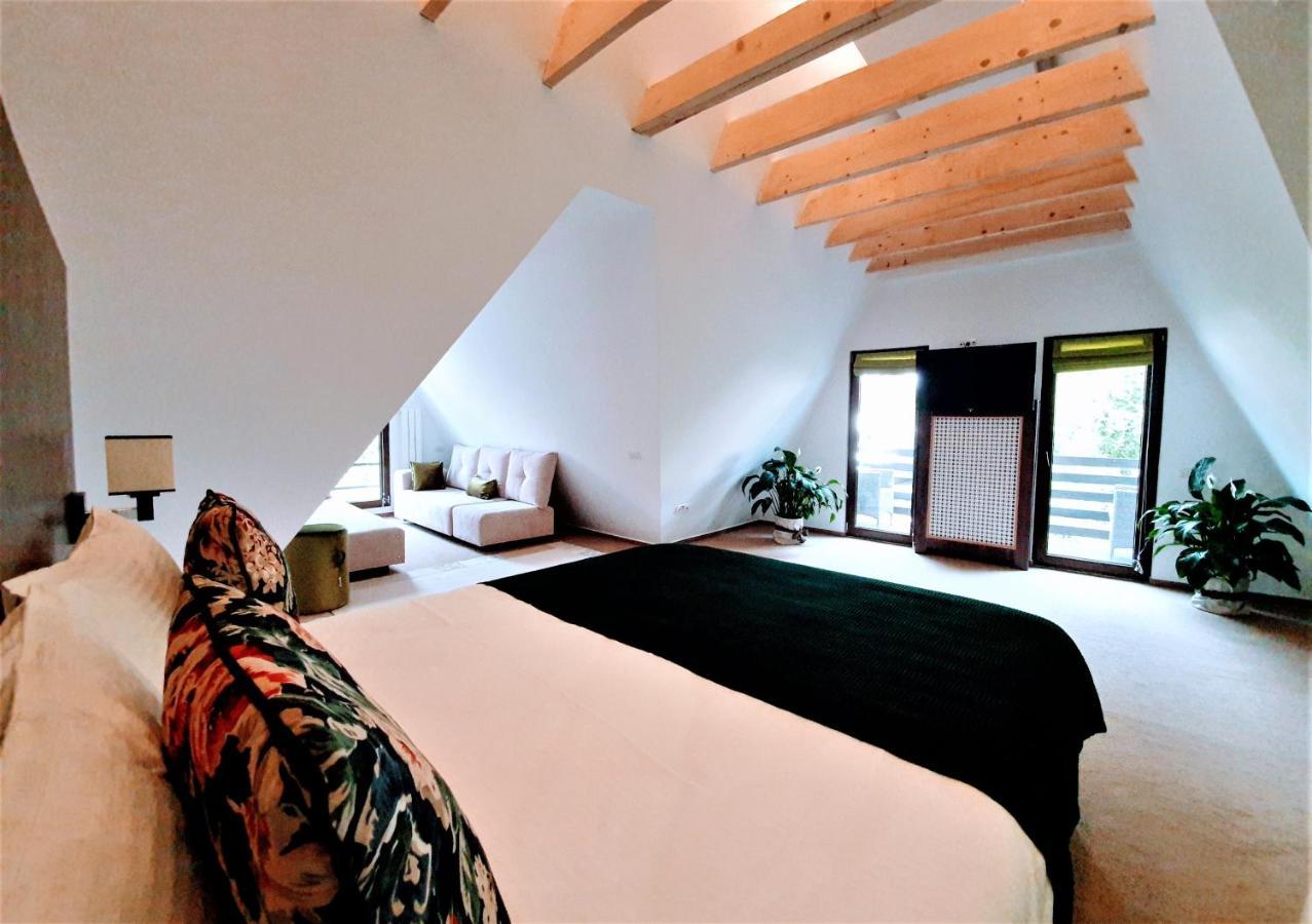 Casa Varful Cu Dor シナヤ エクステリア 写真