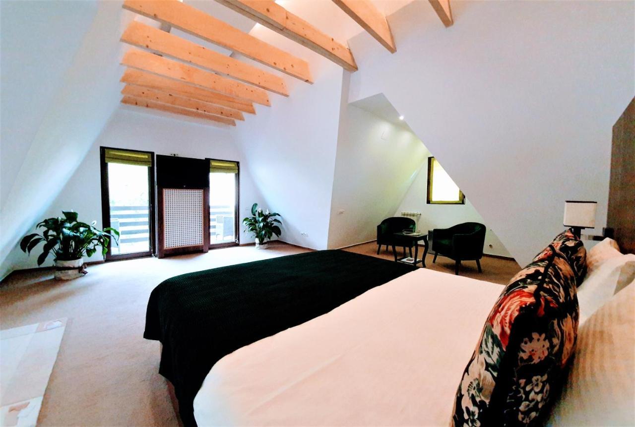 Casa Varful Cu Dor シナヤ エクステリア 写真